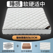 �������ɴ��|20cm�񴲉|ܛӲ����Ҭ�����z���ɴ��|���������Q���l