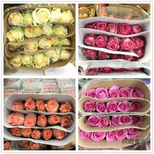 ���rõ������������ϻ���ֱ�lˮ�B�ٺ��r�л����˹������l��̫��