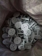 ��X�����C����P������һ�P����݆�ӱP����������Ͼ�݆��Ͳ