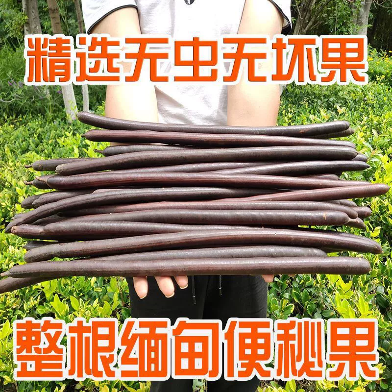 Бесплатная доставка для всего Юньнанийского фрукта от запоров, мьянманского фрукта для дефекации, колбасного фрукта, оптовой продажи киви