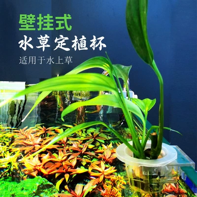 Аквариум Чашка для водной травы Корзина для посадки водной травы Водный лист Ямадзаки Гуй Чашка для гидропоники для посадки растений Декоративная подвесная чашка для аквариума