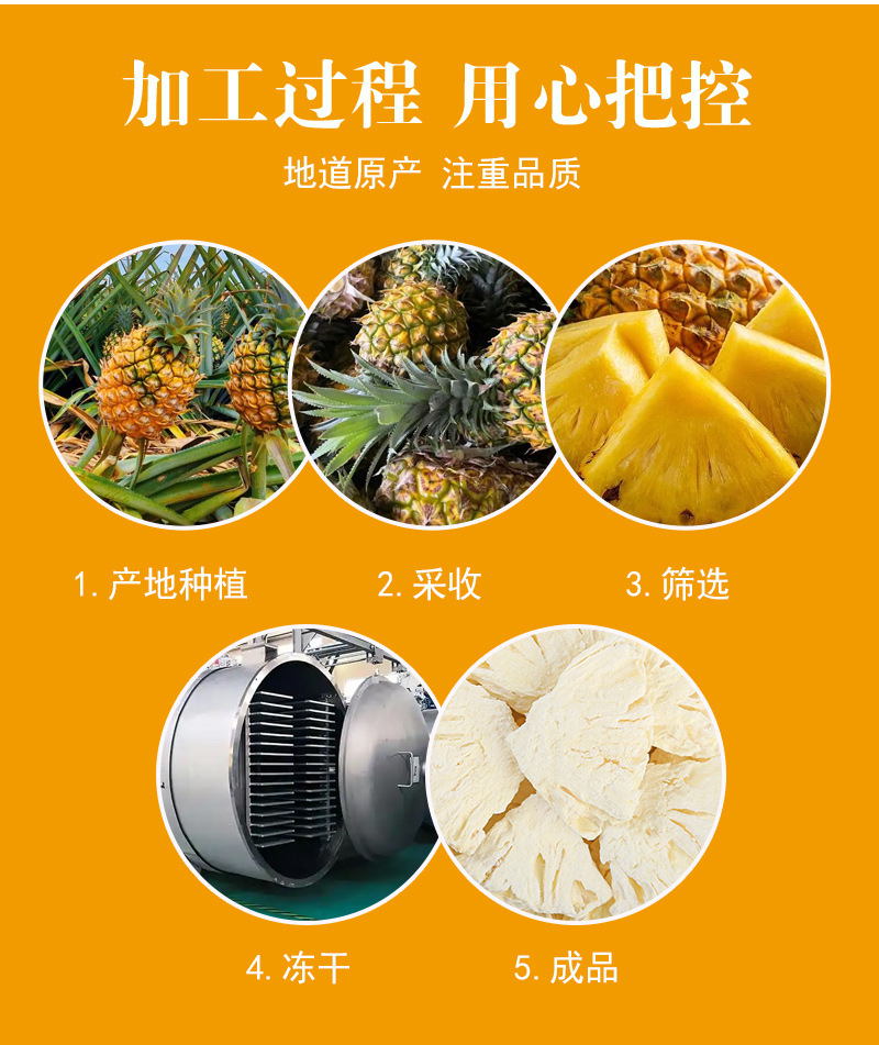 Freeze-Dried Pineapple Slices (Ananas comosus) — Cold-Brew Fruit Tea, 500g Bulk in use