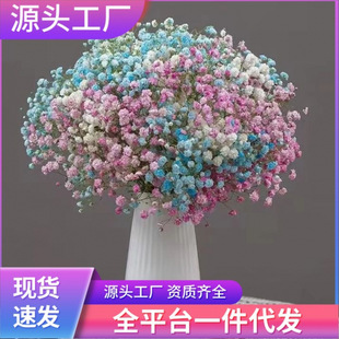 �M���Ǹɻ������͏d�[�O�p�ݸɻ��滨�b[���r�����Ȼ����