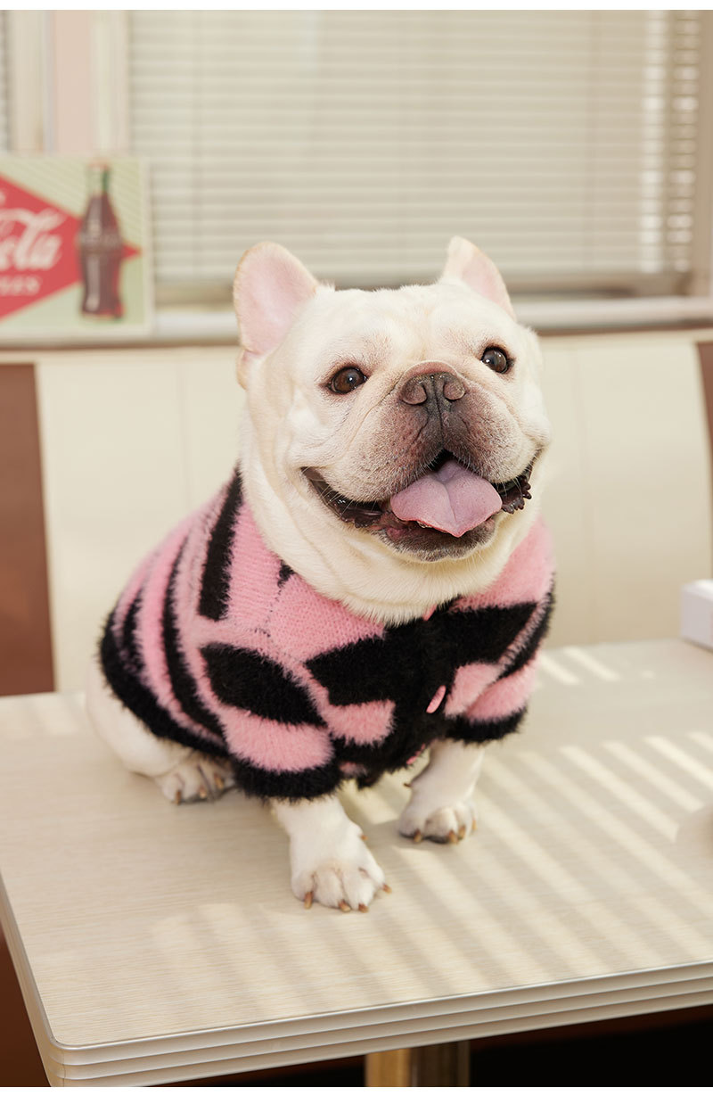 Pet Sweater Image 2