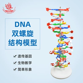 教学演示用品;生物教学器材;医药教学器材
