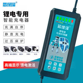 芯缘泽锂电池充电器48v2a60v72v3A5A三元铁锂聚合物锂电池快充