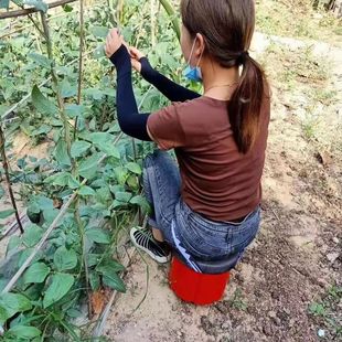 Brand New Lazy Stool for Agricultural Greenhouses, Portable Stool for Picking Vegetables and Digging Garlic