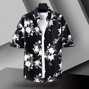 �����e�r�л�ɫ�r�����r�¶����r��228-1135-P35