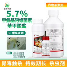 �|����¡5%�׾S�}�װ������S���ر������}���{���ҹ�ꚢ�x���r