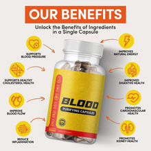 TK����60����ེ��BLOOD PURIFYING CAPSULESԴ����֧��OE M�羳
