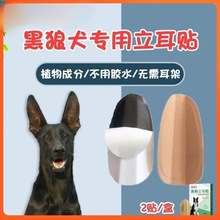 黑狼犬立耳器狗狗立耳朵幼犬立耳辅助器立耳贴小狗竖耳器