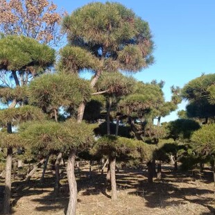 ���ͺ��ɳ��ۈ@ˇ���ͺ��Ɉ@ˇ���ͺ������ͺ�������