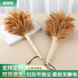 除尘掸;羽毛、羽绒;其他家务清洁