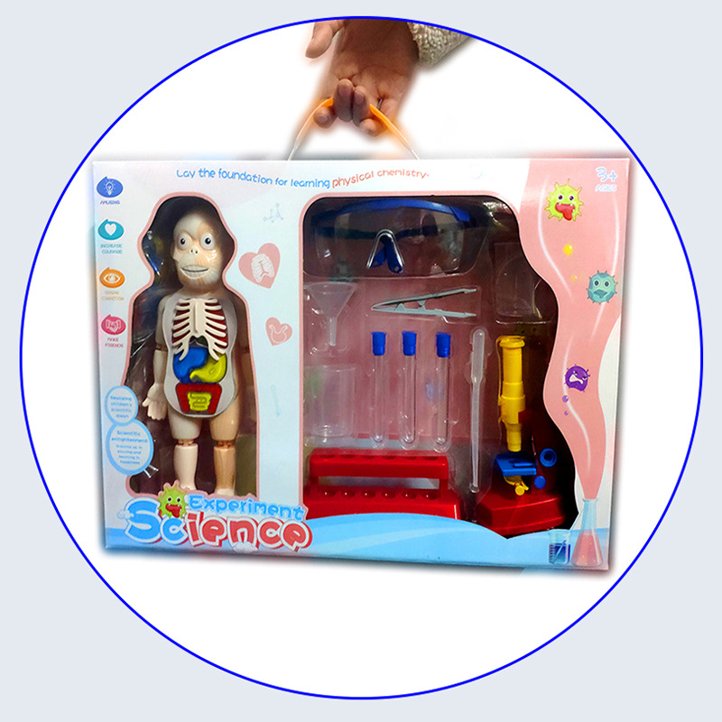 Nuevos niños Qizhi órgano humano modelo STEM ciencia y educación juguete DIY microscopio experimento científico traje