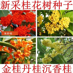 �𻨷N���ļ������͹𻨘�N���҃��̨�׷N�G���k�������Ի�����