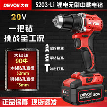 ����5203�oˢ����20V�oˢ��荶๦�����әC�������늄�