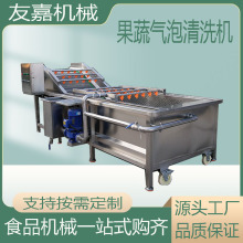 草莓樱桃多功能果蔬清洗机 水果蔬菜清洗加工线 喷淋式气泡清洗机
