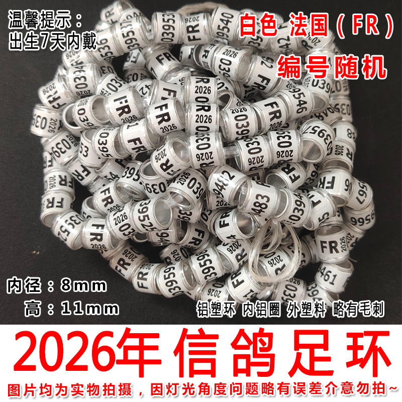 2026年白色法国2