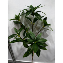 �����R��ľ�~�lؔ���~�t���y���~�پGֲ���~�z�~��c�쾰�zӰ����