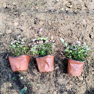 ���~�jʯ������ɽ�|���ݻ��ܻ��جF؛���~�jʯ�ر����پ��^������