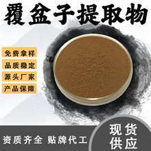 覆盆子提取物10:1食品级原料水溶性粉萃取药食同源粉末现货包邮