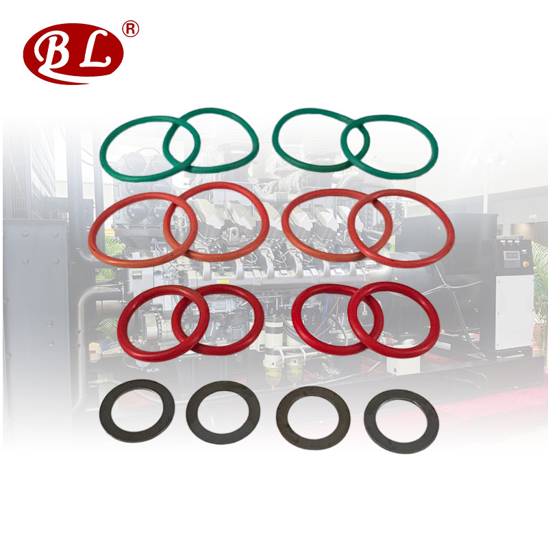 无锡威孚高科股份有限公司泵配套修理包丁腈氟胶修理包