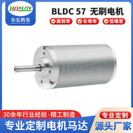 匀浆机电机BLDC57无刷电机内转子无刷电机实验室仪器均质器电机