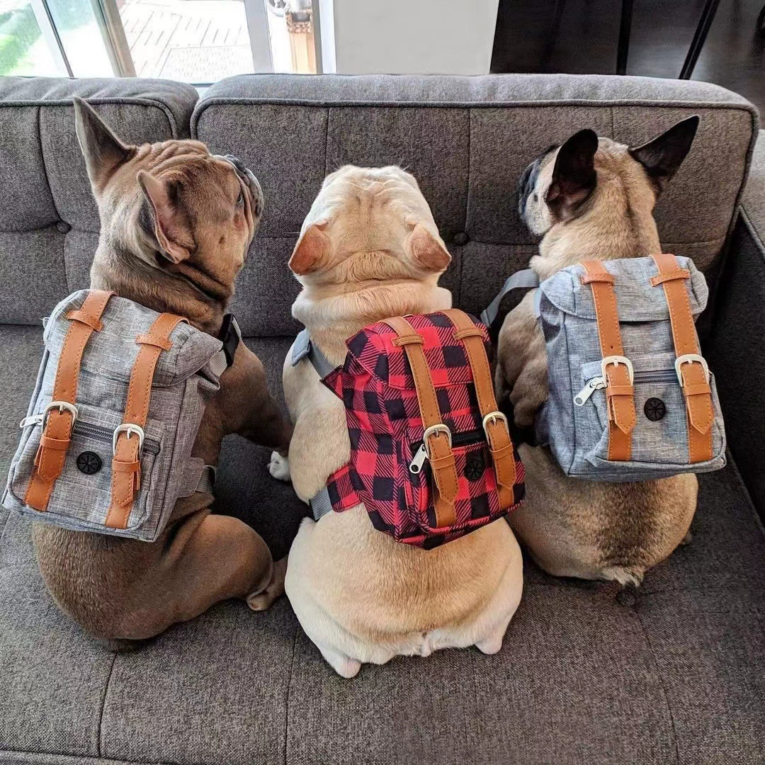 Аксессуары Ретро модный бренд британский Schenariffa Chai Dog Self-Backpack Pet Dog Schoolbag