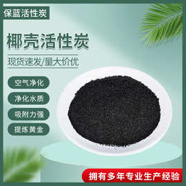 现货高碘值活性炭净水处理工业污水处理水族防毒面具用椰壳活性炭