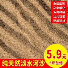 河沙细沙多肉种植种花沙子乌龟冬眠沙鱼缸沙建筑沙水族造景