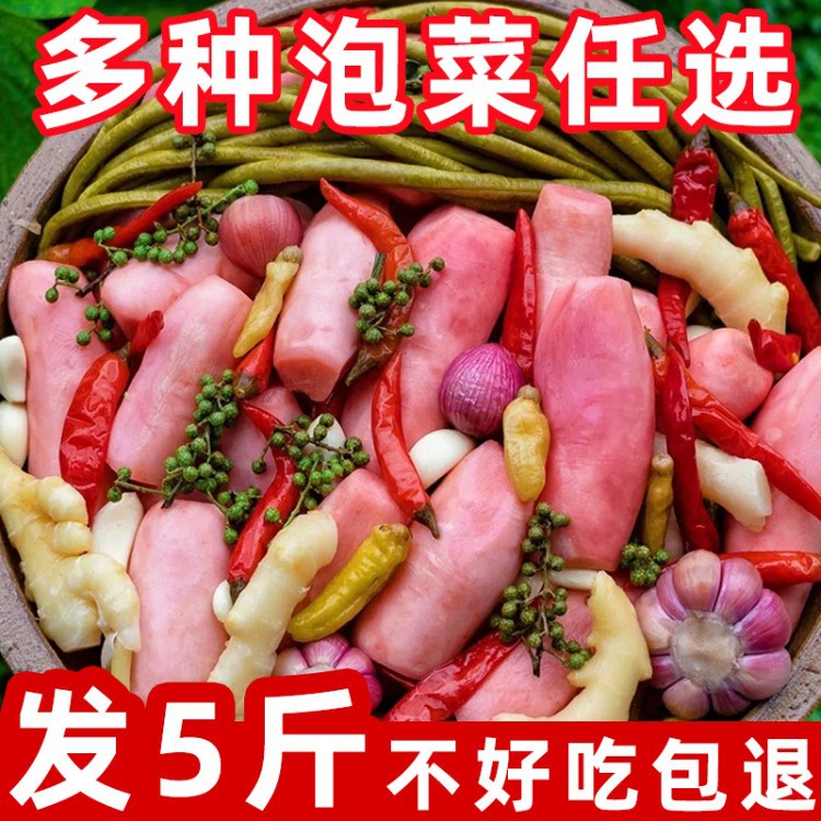 四川泡菜泡姜泡萝卜泡豇豆泡辣椒泡椒酸菜老坛袋装特产