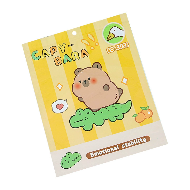 Cute bag, pack, Birthday gift