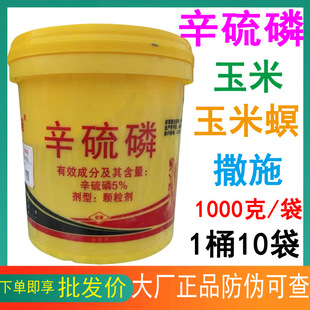 5%�������w�������������x�����º��xș���Q�������ϻ����xș��Ч