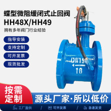 HH48X/HH49X微阻缓闭蝶式止回阀耐高温球墨铸铁法兰缓闭止回阀