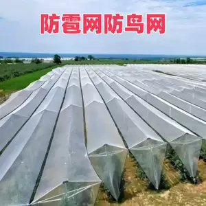 [无节网养鸡网防鸟网养殖网尼龙网果树冰雹网鱼网果园防暴网抗老化]