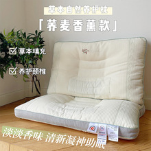 2023新款自然草本荞麦养护枕枕头枕芯（实拍) 荞麦香薰款【单只装