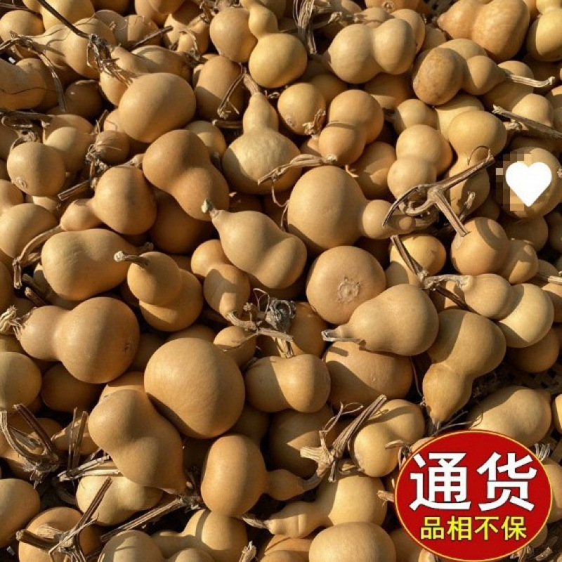 小葫芦一手货源带龙头天然手捻把玩件地摊文玩供应真工厂|undefined