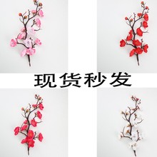 �����֧���^÷����ʽ��@���潁���̗U�D÷���}�����b�÷���ٻ�