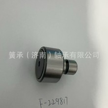  F-229817 ±_mӡˢCLS _Sϵ