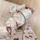 Bowknot kitty cat Korean style ins cute pajamas women's spring and autumn new long sleeve trousers home clothes can be worn outside