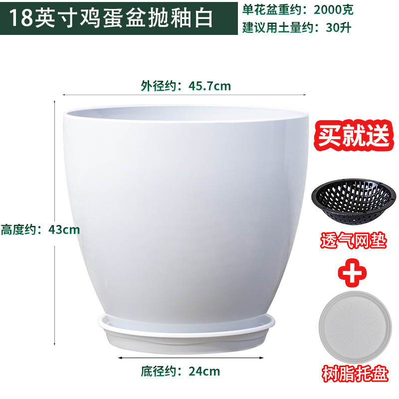 北欧简约陶瓷花盆轻奢大号创意个性带托盘家用天堂鸟龟背竹等盆器|undefined