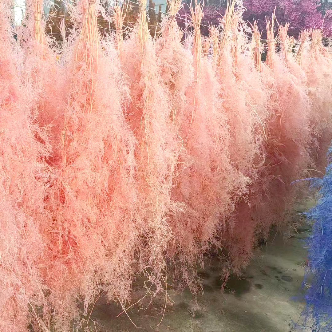 永生花文竹保真婚慶婚禮花藝軟裝背景牆簡約裝飾雲南工廠批發直銷