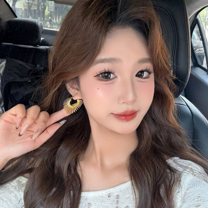 欧美时尚夸张线条桃心耳环优雅温柔简约大气耳环轻奢高级感耳饰女|undefined
