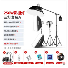 神牛250W闪光灯人像证件照摄影灯静物摄影棚影室灯专业影室闪光灯