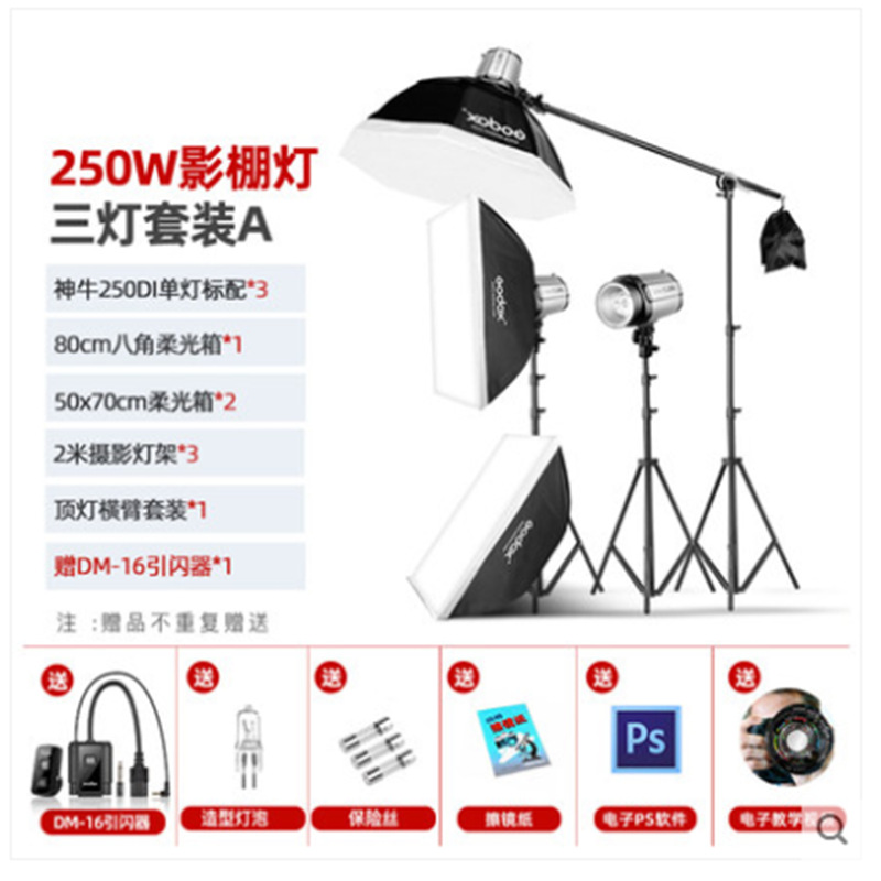 神牛250W闪光灯人像证件照摄影灯静物摄影棚影室灯专业影室闪光灯