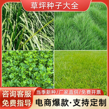 ��ƺ�N���ļ����o�²��Ѻ����ݷN�Ӹ���é�������ͺ��첥�G���ݷN