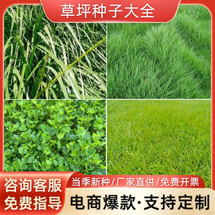 ��ƺ�N���ļ����o�²��Ѻ����ݷN�Ӹ���é�������ͺ��첥�G���ݷN