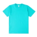 Aqua Green