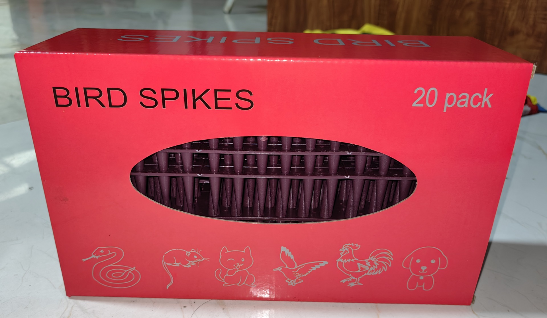 IMG_20230722_080245_edit_19731