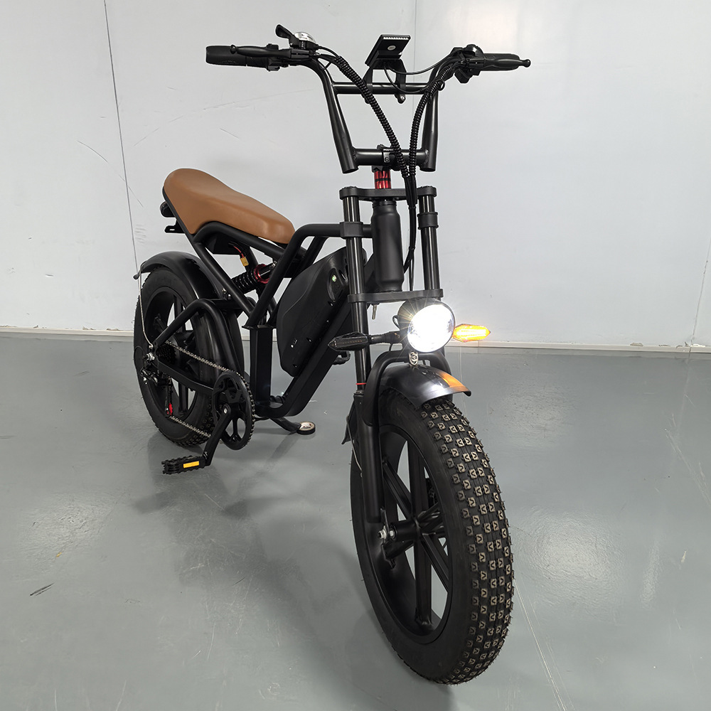 20-inch Fat Tire Off-Road Snow Beach Integrated Wheel Electric Bicycle